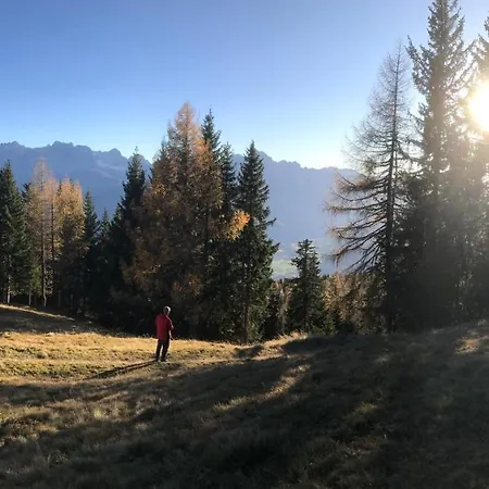 Bel'vue