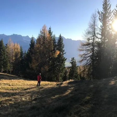 Bel'vue