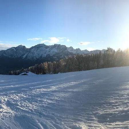 Frühstückspension Bel'vue